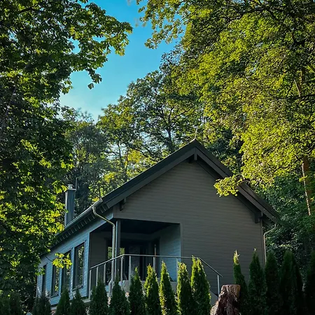 Holiday home Hercynia Bad Lauterberg