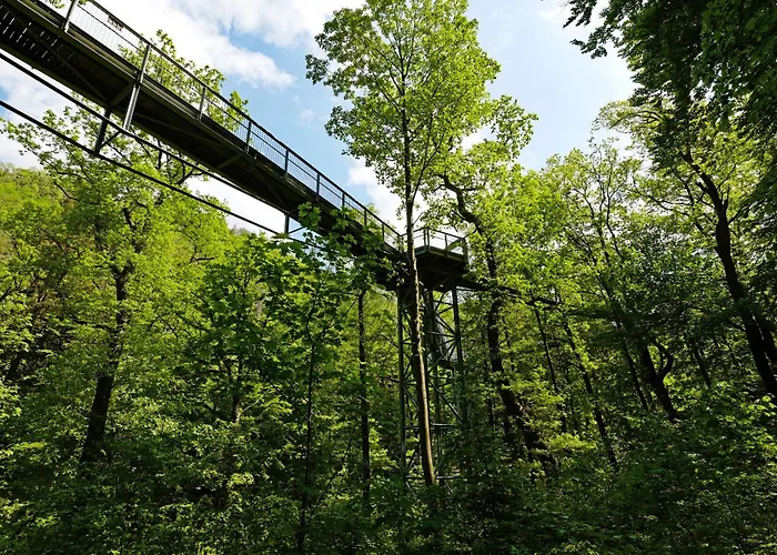 Hercynia * Bad Lauterberg